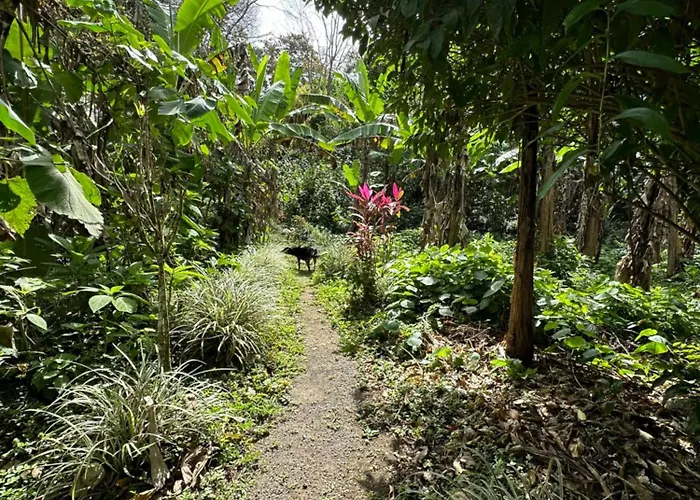 Hotel Lake Arenal Brewery & Hotel 2*