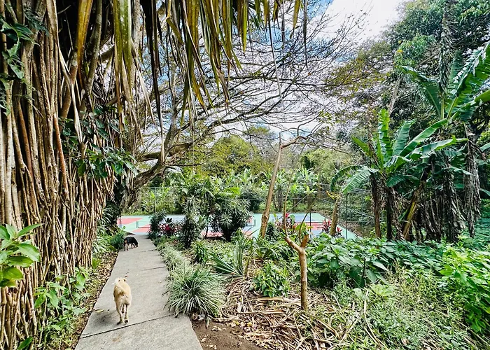 Lake Arenal Brewery & Hotel 2* Tilaran